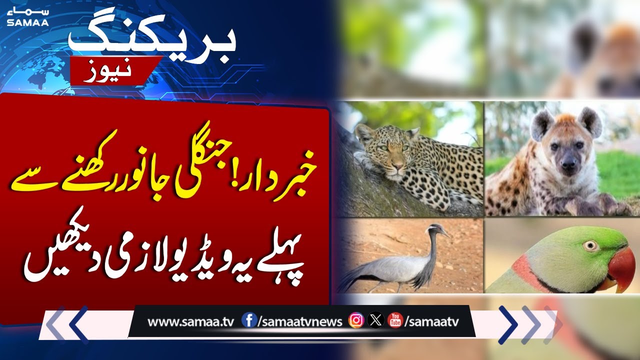 Must Watch! Wild Animals in Pakistan | Govt makes major decision ...