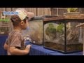 虫の音色32種響く「鳴く虫展」