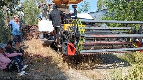 máy cắt 70 binh 93 độ hợp số 102 hàm 95 cắt lúa sốt độ nhanh lắm tập40 #maibangtv