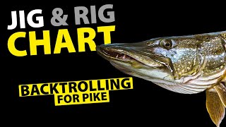 SPRO - Riggin' It - How To Rig Softbaits - Back Trolling For Pike screenshot 5