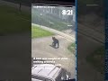 Bear seen roaming through neighborhood
