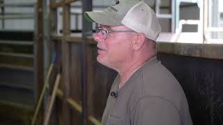 Moly Mfg. Livestock Handling Facilities -- Lundstrom