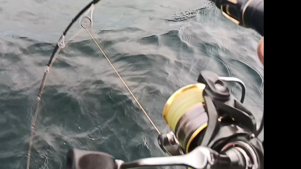 Luar biasa! Di seret dari depan kapal kebelakang balik kedepan lagi