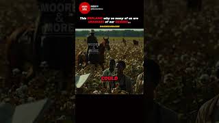 They Know Their Roots… Do We? 👀