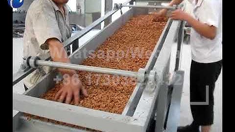 Almond/palm/hazelnut cracking and shelling machine