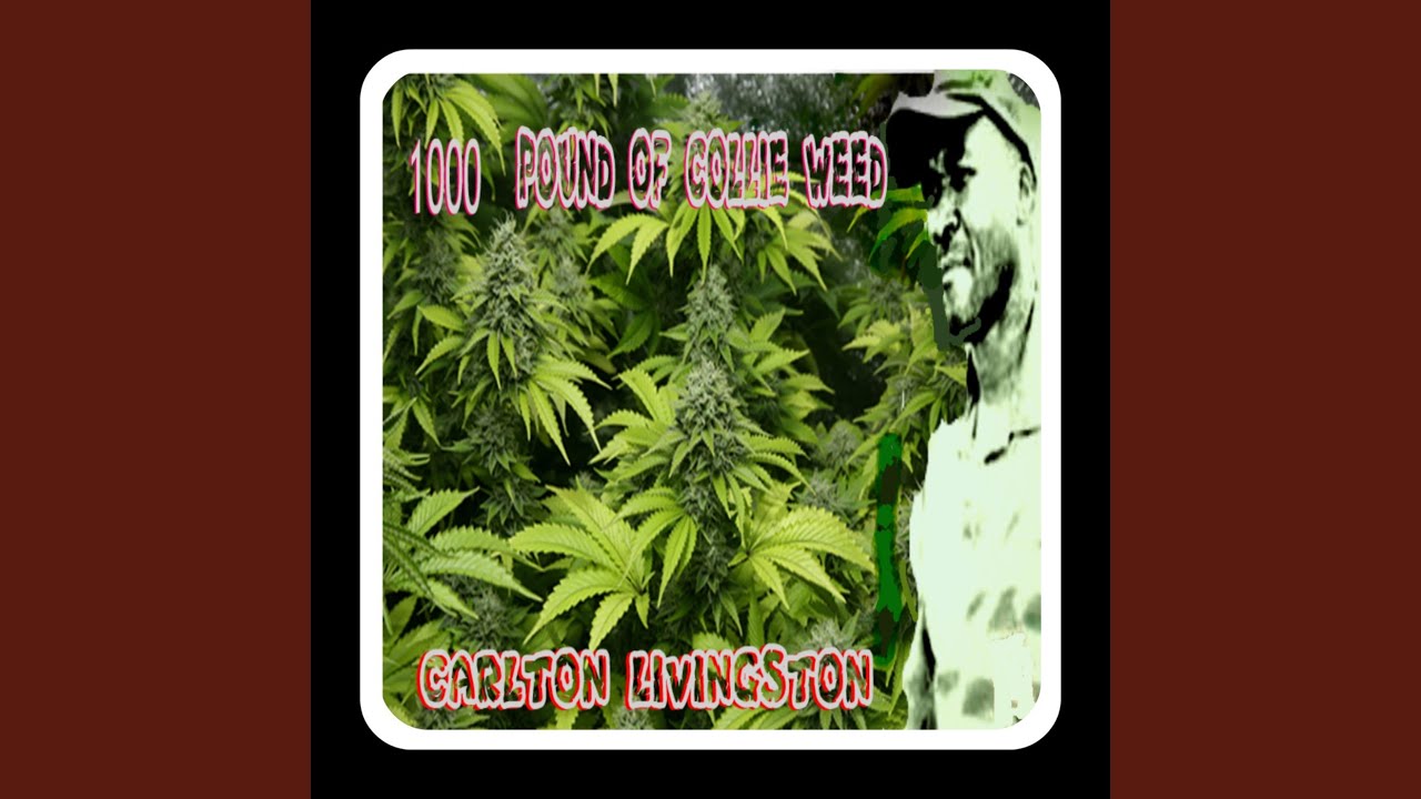 1000 Lbs of Collie Weed YouTube