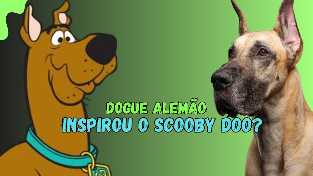Dogue Alemão - Scooby Doo #doguealemao #raçasdecães #raçadoscoobydoo ...