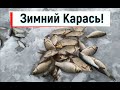 Зимний Карась ! Из-подо льда!