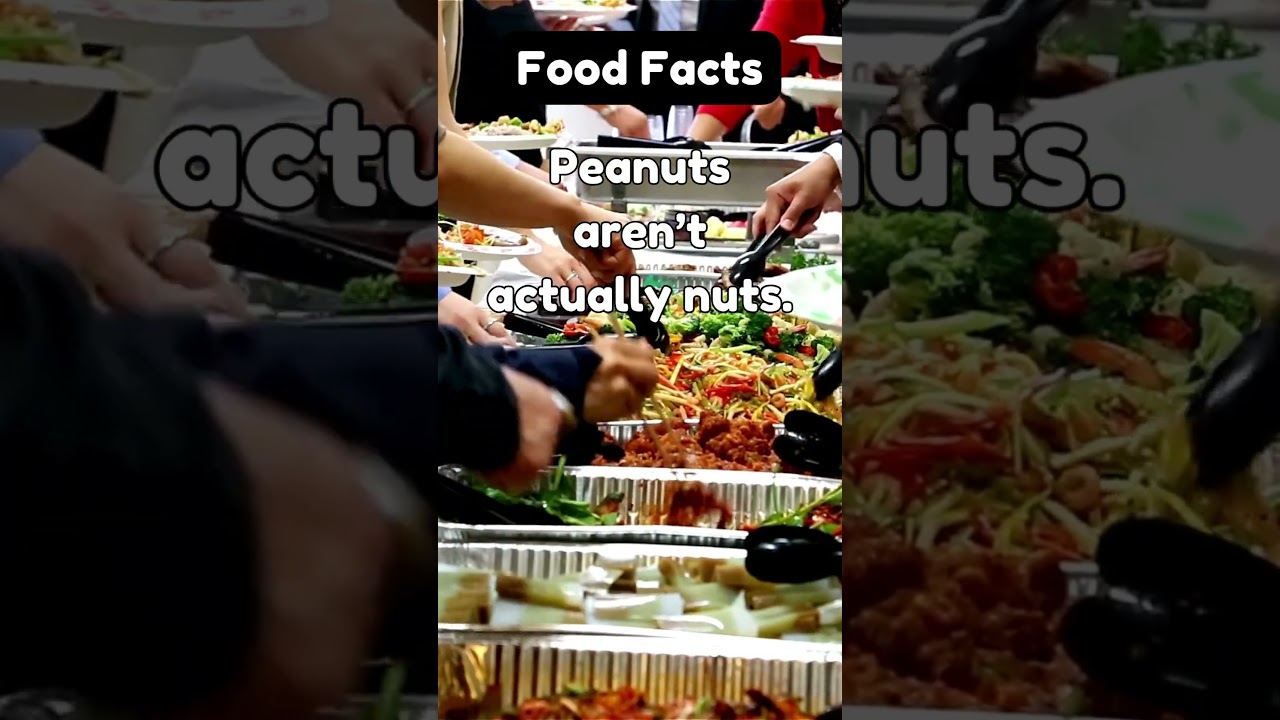 Food Facts Fact 