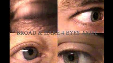 4Eyes EXAMPLE MPG AVI ANIM 5 7 9 32 64 256 ANIMS AMIGA CDs AMINET ANIMATIONS CD ROMS