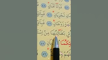 سورة الرحمن الأية 51 إلى 57 بصوت سعد الغامدي
