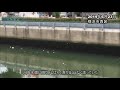 空から謎の白い泡　通行人が騒然　横浜駅西口／神奈川新聞（カナロコ）