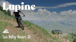 Lupine Mountain Bike Trail // Sun Valley Resort, ID