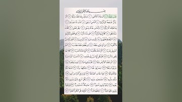 تلاوة سورة عبس بصوت القارئ الشيخ د. أيمن سويد