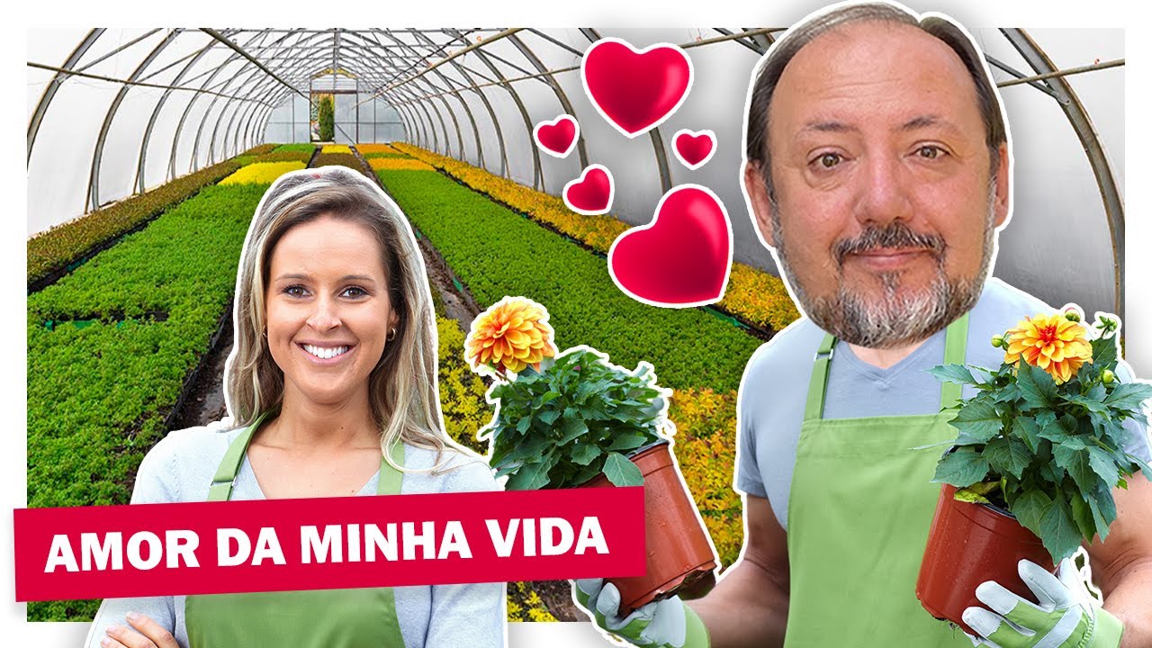 UMA PAIX O NOS EUA QUE PODE VIRAR UM GREEN CARD YouTube