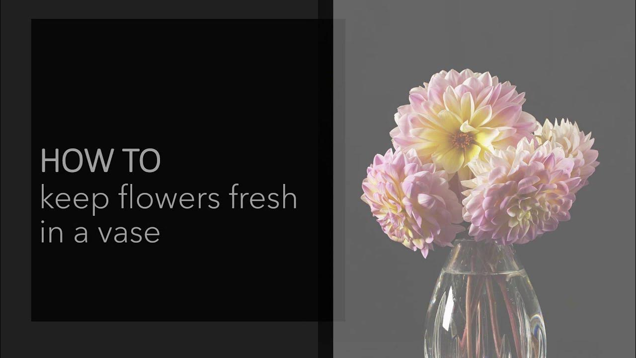 How to keep flowers fresh in a vase YouTube