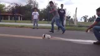 Dragster 34Eea Grupo Alfa