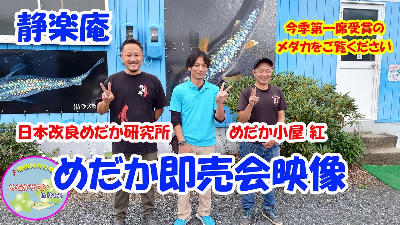 第81回 【めだか即売会 in 静楽庵】日本改良めだか研究所さん、めだか小屋 紅さん