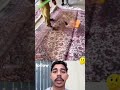 🌍🔥💯😱😎#carpetcleaning #newtools #lifehacks #ytshorts #trending #respectshorts #video #reaction #viral