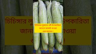 চিচিঙ্গার লুকানো ৭টি উপকারিতা #healthtips #healthylifestyle #shorts #snake guard benefits