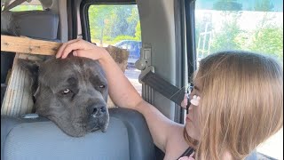 Tractor Supply Vet Clinic!