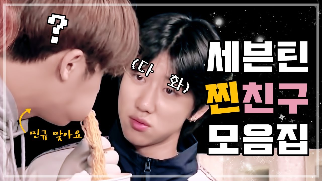 [세븐틴] 현실 친구 (찐친) 모먼트 모음집