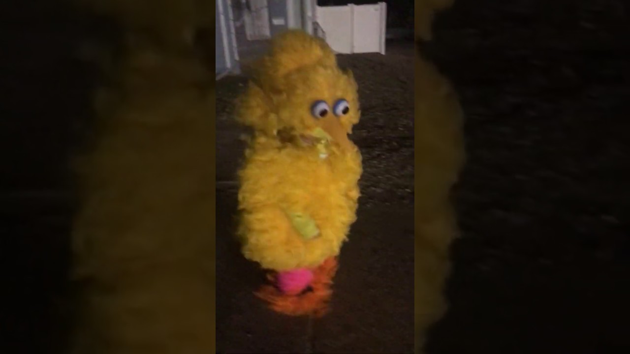 Awesome DIY Big Bird Halloween Costume YouTube
