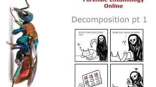 12 3 Decomposition pt 1