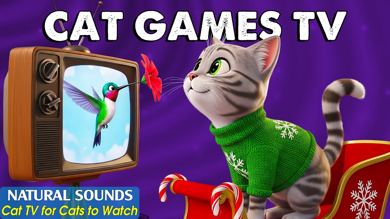Stimulating Cat TV－BEST CAT GAMES 2025 to Boost Bored Cats’ Curiosity  😻 Interactive Video for Cats