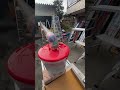 Marble Run☆Long transparent pipe slope & rotating bucket ASMR5
