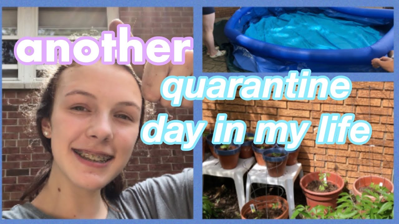 chaterine quarantino chaterine quarantino