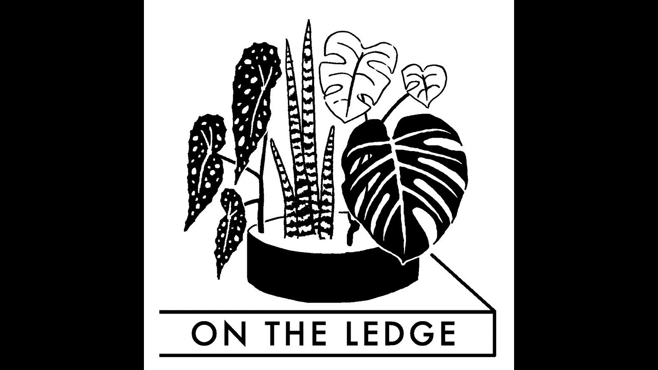 On The Ledge Episode 227: Houseplants and sustainability part four - Harriet's Plants