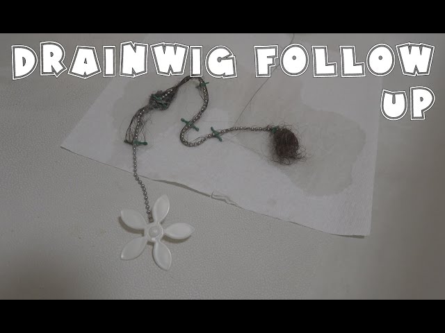 Drainwig (Drain Wig) Review - The sexy drain hair catcher