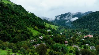 Pourquoi Lankaran Devient La Région La Plus Riche De Lazerbaïdjan En Fruits Et Forêts Sauvages