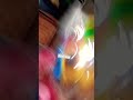 creation fruit unboxing #roblox