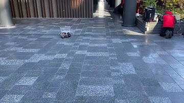 Raspberry pi catの自律走行によるテイクアウトフードの運搬実証実験