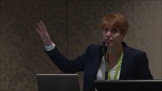 Urban Toll: Rethinking Acceptability through Accessibility