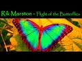 Rik Marston "Flight Of The Butterflies" Ambient Chill New Age CD Synthesizer