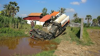 Kubota DC-70 Harvester Harvests Rice -  クボタハーベスターはカンボジアで米を収穫します