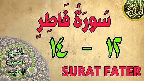 سورة فاطر | من الأية (١٢) إلى الأية (١٤) | مكررة ثلاث مرات | قناة الشيخ محمود العقيد