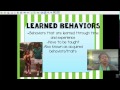 Inherited Traits Versus Learned Behaviors in Our Ecosystem