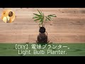 【DIY】寿命が切れた電球を使ってプランターを作りました。