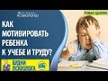 Ребенок не хочет учиться - что делать? Как мотивировать ребенка к учебе и труду /  Советы психолога