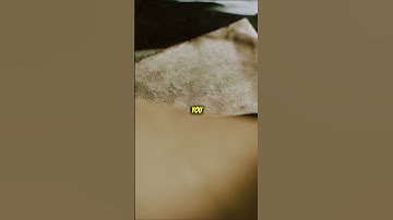 What if you could erase one memory forever? #whatif #facts #helpmemakethismakesense #motivation