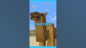 Everything You Need To Know About Minecraft 1.20