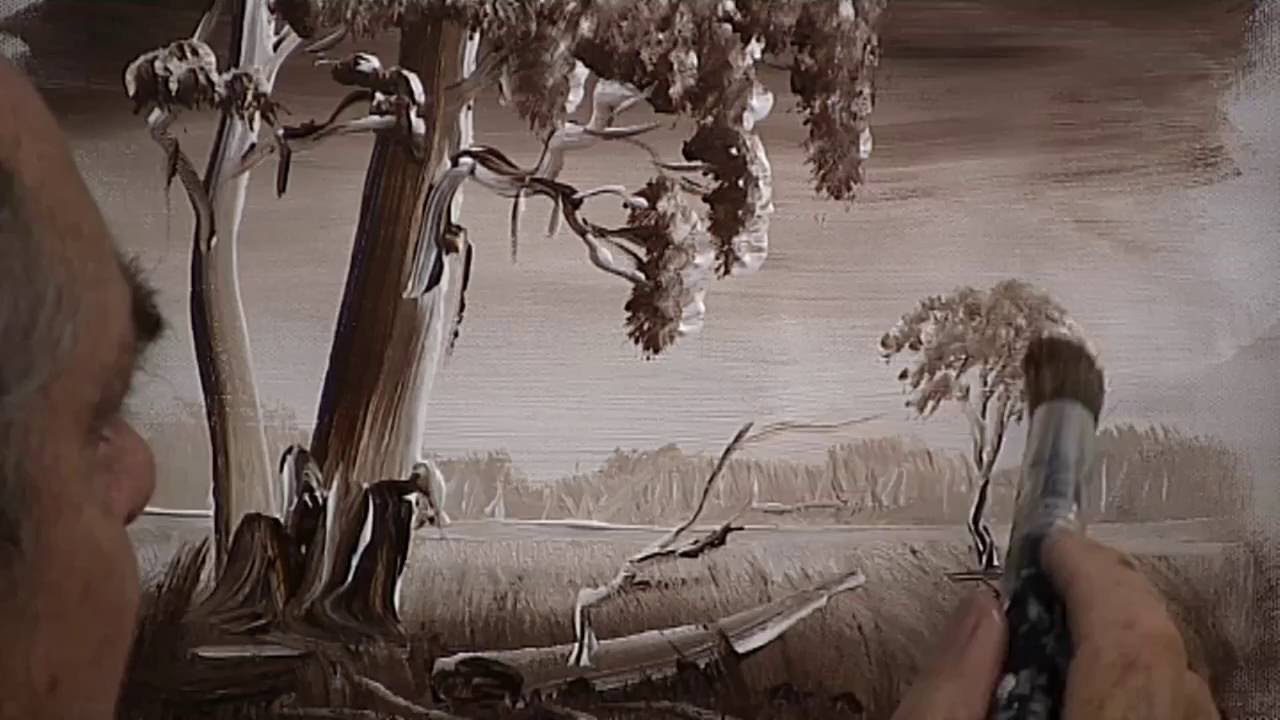 Contrast with a tree butt