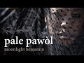 Miniature de la vidéo de la chanson Pale Pawòl