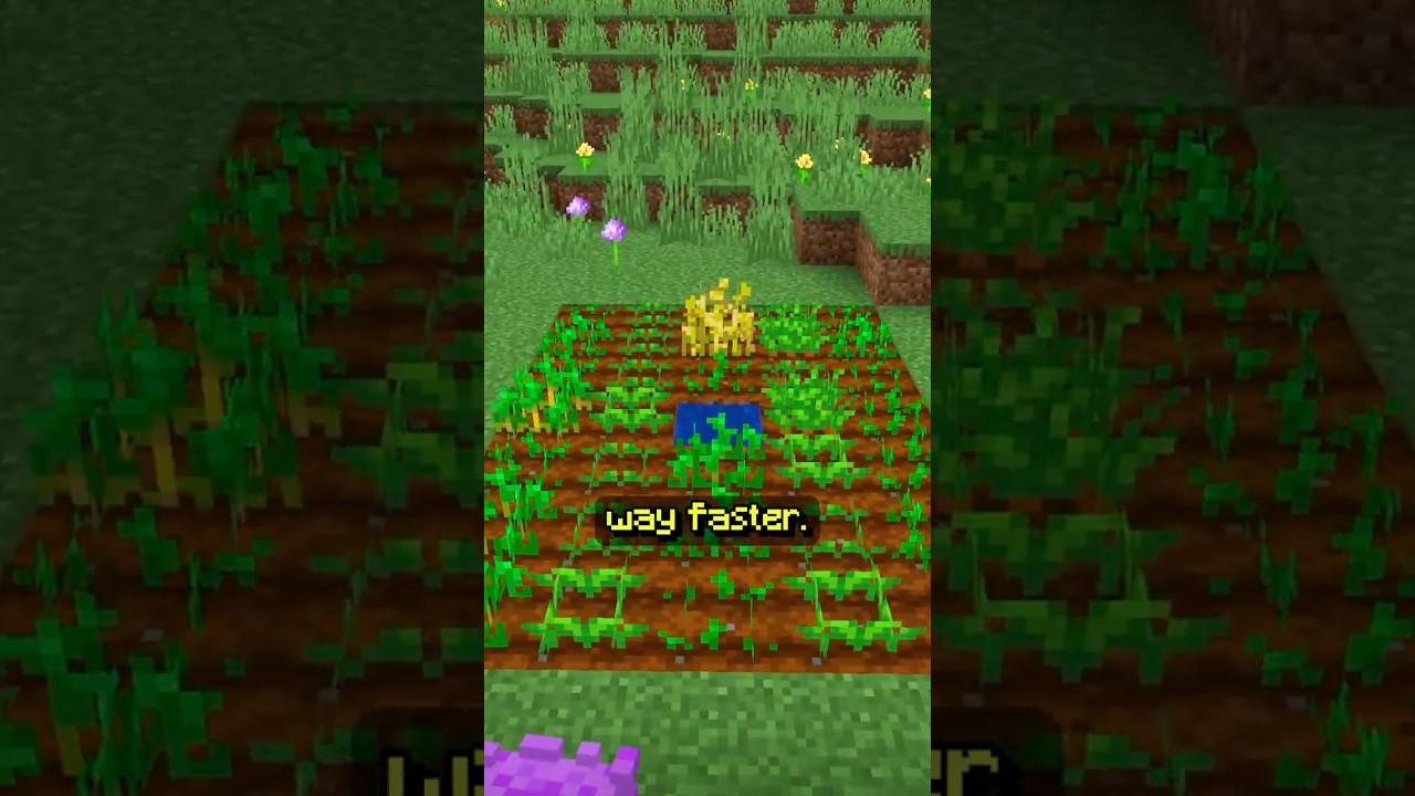 You are farming WRONG in Minecraft