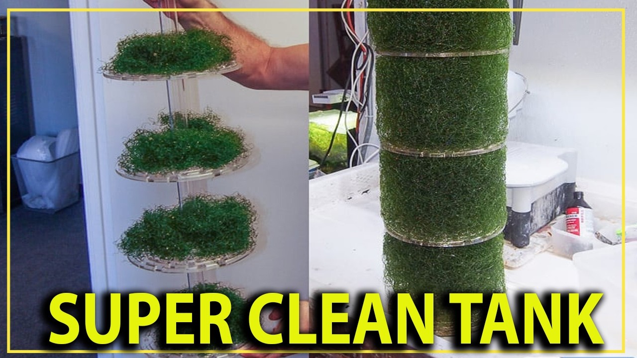 Ваш аквариум НИКОГДА не будет прежним, если вы установите одно из этих устройств...