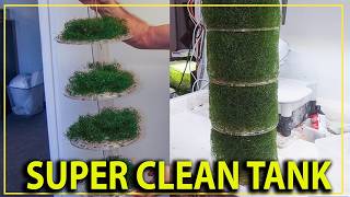 Your Aquarium Will Never Be The Same If You Install One Of These...